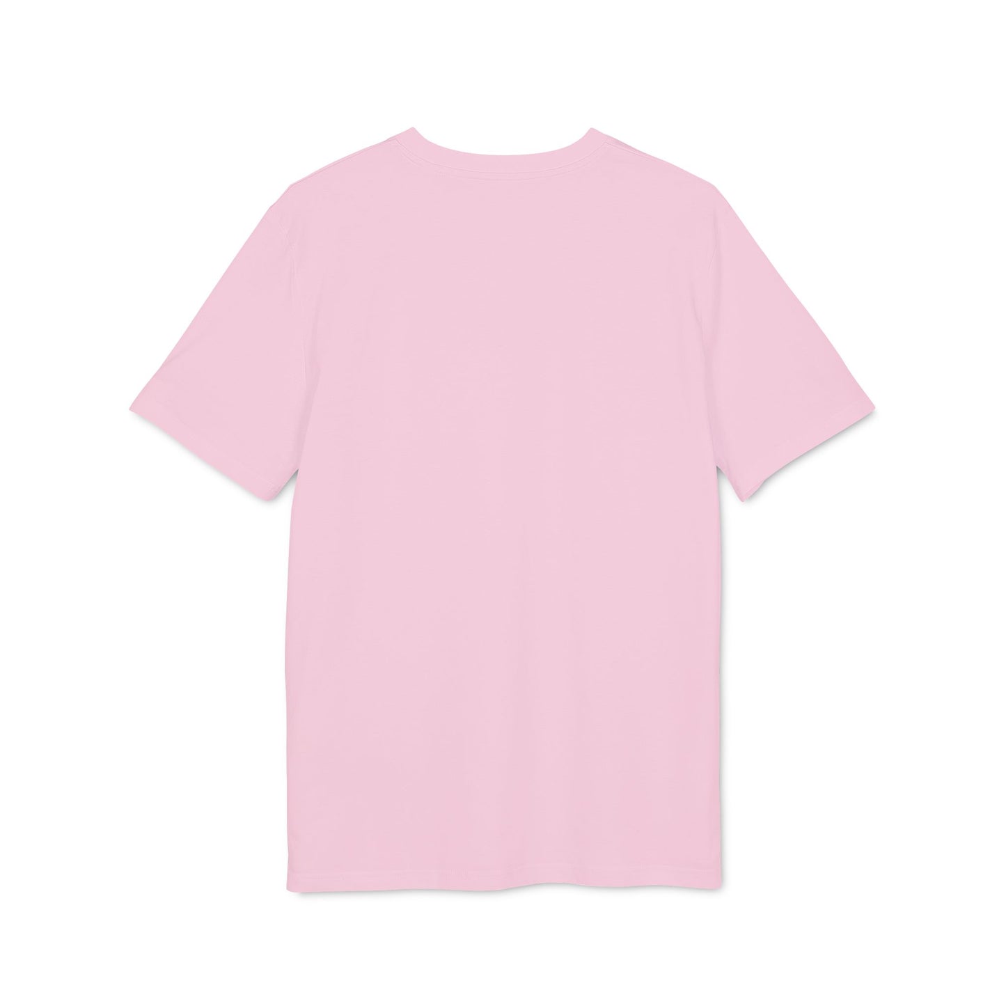 Johnny Johnson, Ace Flyer — Danny Parkinson Designs Organic Cotton Tee
