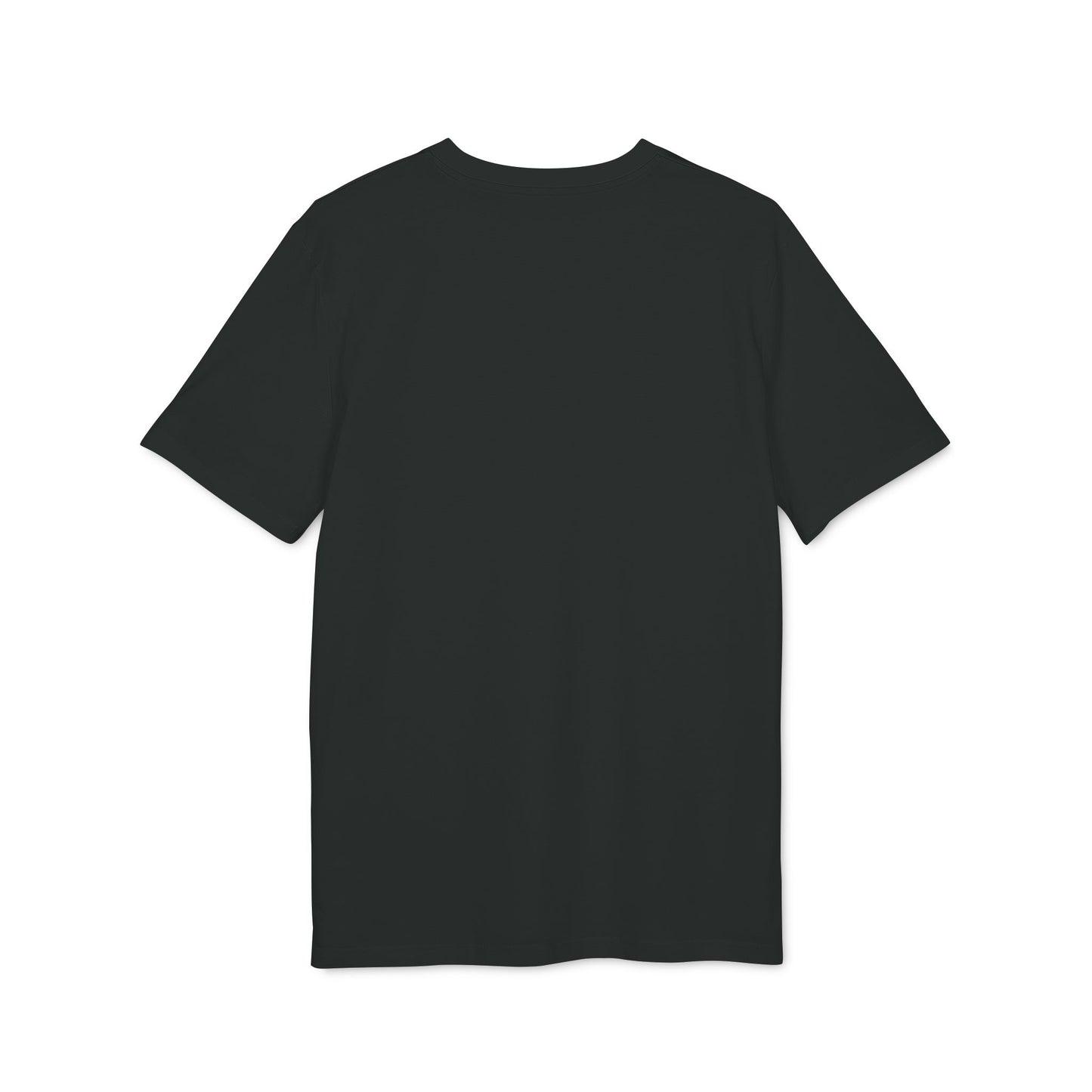 Johnny Johnson, Ace Flyer — Danny Parkinson Designs Organic Cotton Tee